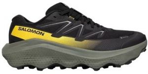 Turistická obuv Salomon  Ultra Flow 2 Gtx