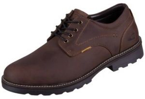 Derbie Camel Active  53FWA08400320