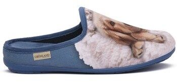 Slip-on Grunland  CI3057CIELO