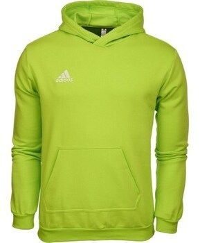 Mikiny adidas  Entrada 22