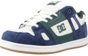 Nízke tenisky DC Shoes  STAG YOUTH