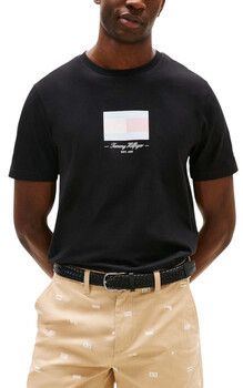 Tričká s krátkym rukávom Tommy Hilfiger  ITHACA FLAG TEE MW0MW39349