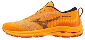 Bežecká a trailová obuv Mizuno  Wave Rider Gtx