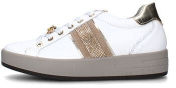 Nízke tenisky IgI&CO  8668611