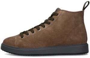 Polokozačky IgI&CO  8634055