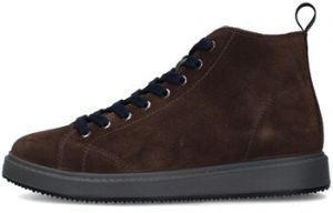 Členkové tenisky IgI&CO  8634033