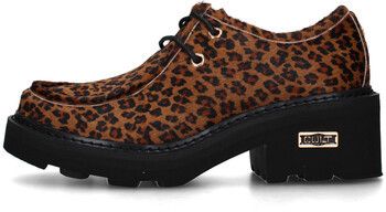 Derbie Cult  CLW354403
