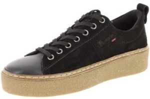 Derbie Wrangler  Chaussures
