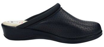 Nazuvky Dchus  -