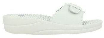 Šľapky Scholl  Chaussures