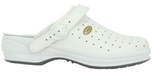Šľapky Scholl  Chaussures