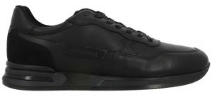 Derbie Redskins  Chaussures