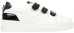 Derbie Vanessa Wu  Chaussures