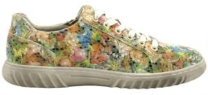 Derbie Westland  Chaussures