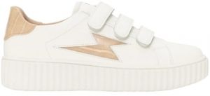 Derbie Vanessa Wu  Chaussures