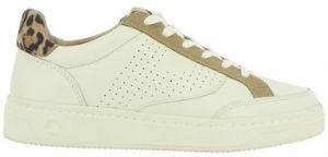 Derbie Pataugas  Chaussures