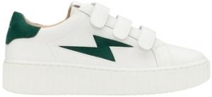 Derbie Vanessa Wu  Chaussures