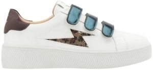 Derbie Vanessa Wu  Chaussures