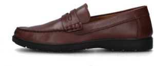 Mokasíny IgI&CO  7612011