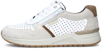 Nízke tenisky Valleverde  V49904A