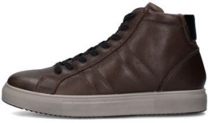 Členkové tenisky IgI&CO  8635522