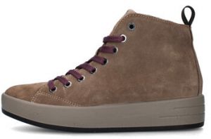 Členkové tenisky IgI&CO  8668222