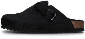 Nazuvky Scholl  SL.F325721004