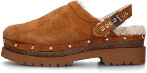Nazuvky Scholl  SL.F324161175