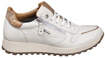 Nízke tenisky Kangaroos  SNEAKERS  900