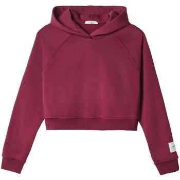 Mikiny Hinnominate  Cappuccio A Scatoletta Con Manica Raglan