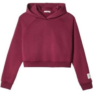 Mikiny Hinnominate  Cappuccio A Scatoletta Con Manica Raglan