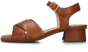 Sandále Clarks  181346