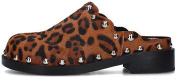 Nazuvky Noa Harmon  9906