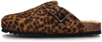 Nazuvky Scholl  SL.F318142330
