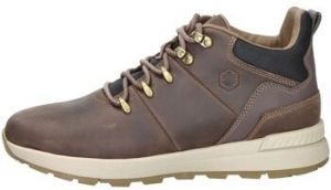 Polokozačky Lumberjack  102217233