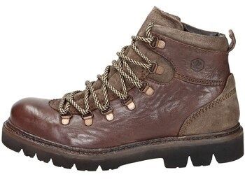 Polokozačky Lumberjack  102217004
