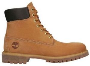 Polokozačky Timberland  Chaussures