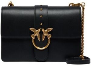 Tašky cez rameno Pinko  105857A0F1