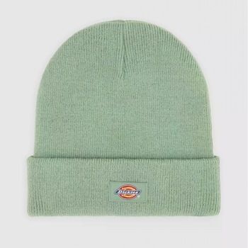 Čiapky Dickies  GIBSLAND