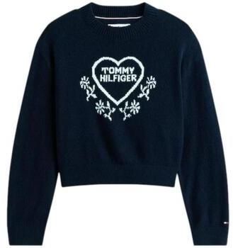 Mikiny Tommy Hilfiger  KG0KG08836C1G