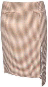 Sukňa Isabelle Blanche  -