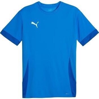 Tričká s krátkym rukávom Puma  Teamgoal Matchday Jersey