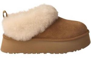 Papuče UGG  -