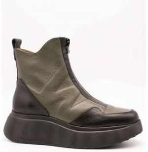 Čižmičky Wonders  A-3613 Wild