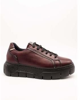 Nízke tenisky Fluchos  F2305