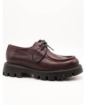 Derbie Wonders  C-7514