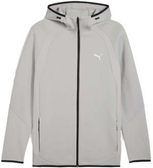Flísové mikiny Puma  Evostripe Fz Hoodie Dk