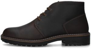 Derbie IgI&CO  8620911