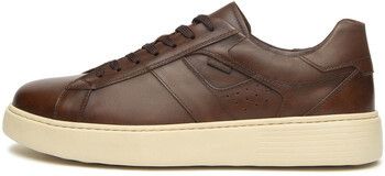 Nízke tenisky NeroGiardini  Delavato Eva Vibo Versus Burr