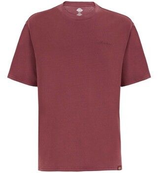 Tričká s krátkym rukávom Dickies  Plentywood Ss Tee